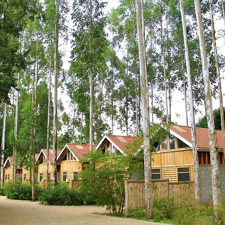 The Great Outdoors Uganda Hotel Vumba Exterior photo